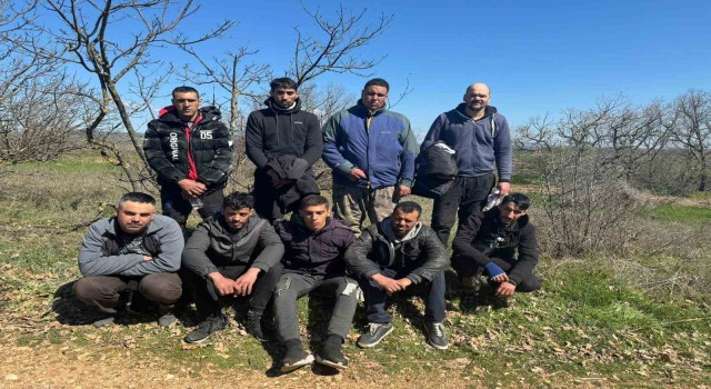 Edirnede 9 kaçak göçmen yakalandı