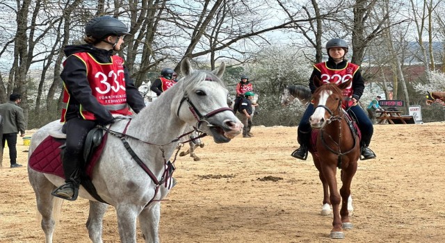 En dayanıklı atlar 120 kilometrelik parkurda yarıştı