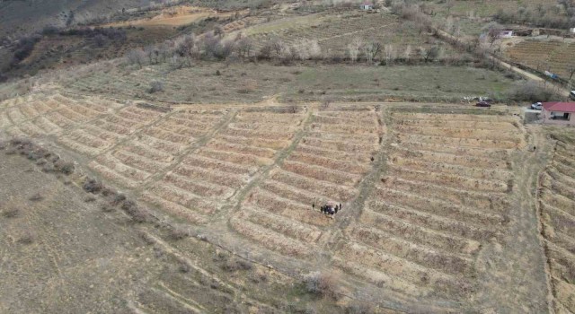 Erzincanda çiftçilere tarla okulu eğitimi verildi