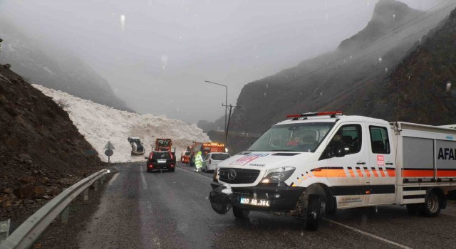 Hakkari-Çukurca kara yolu çığdan temizleniyor