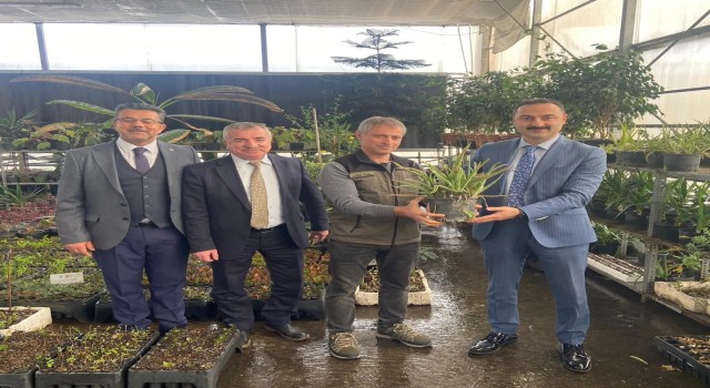 Havza OSB, dikilecek 117 bin fidanla yeşil OSB olacak
