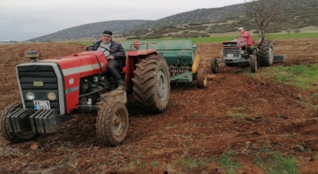 Hüyükte atıl tarım alanları aspir ekilerek üretime kazandırılıyor