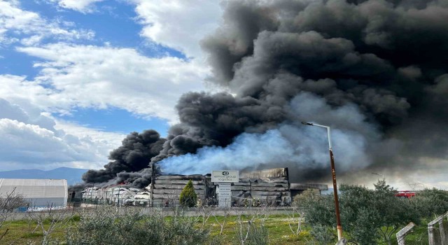 İzmirde lojistik firmasının soğuk hava deposunda büyük yangın