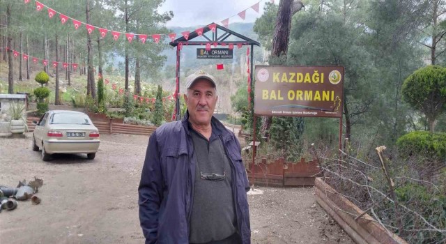 Kazdağlarında Bal Ormanı Projesi arıcıları sevindirdi