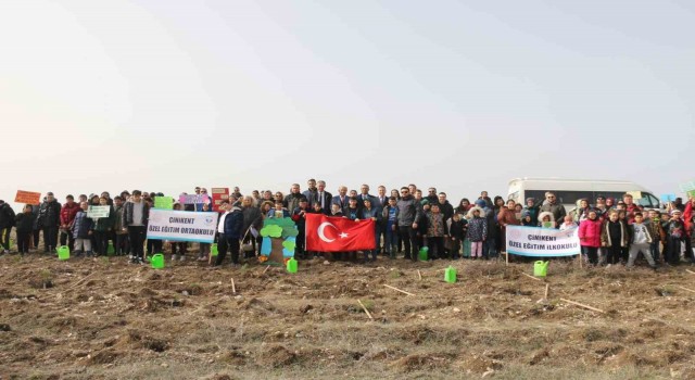 Kütahyada fidan dikimi etkinliği