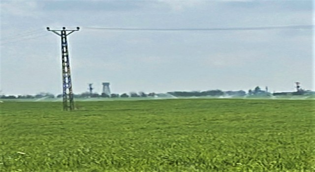 Mardinde Dünya Su Gününde yağmur yağarken kaçak elektrikle tarla sulandı