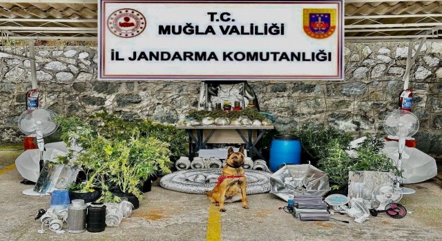 Marmaristeki eve uyuşturucu baskını