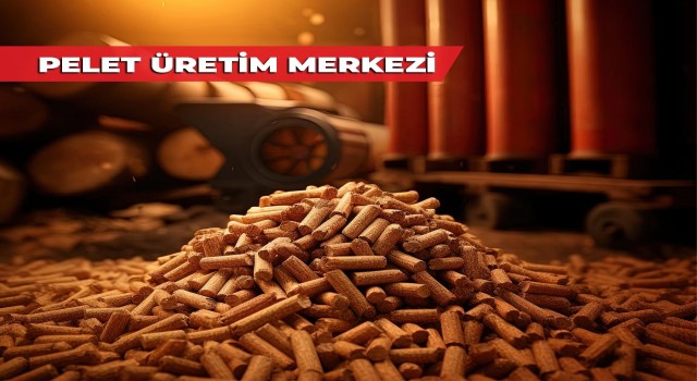 Merkezefendide parklardan toplanan kuru yapraklar ihtiyaç sahiplerine yakacak olacak