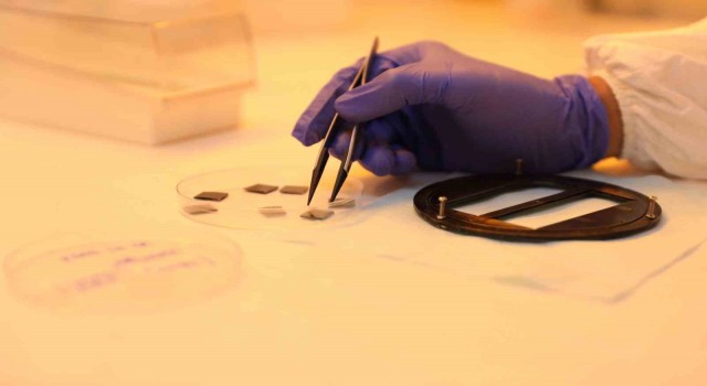 Niğde Ömer Halisdemir Üniversitesinde güneş pillerinin verimliliği yüzde 40 artırıldı