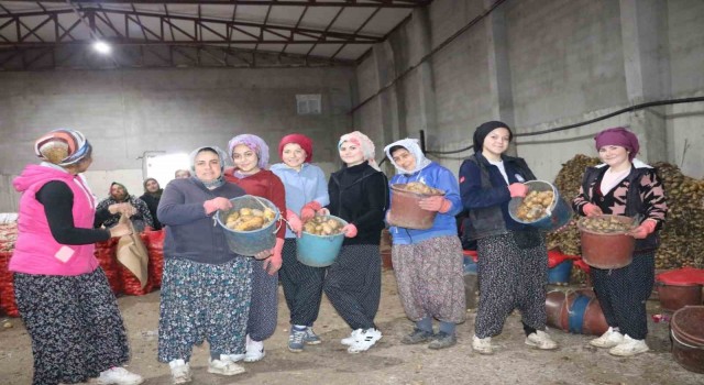 Patates işçisi kadınlar 8 Martı işlerinin başında geçirdi
