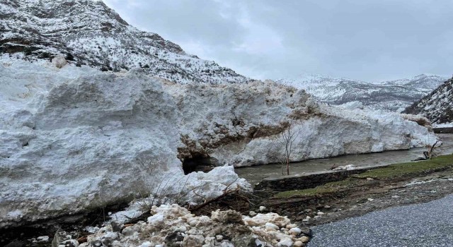 Pervari-Çatak yolu çığ nedeniyle ulaşıma kapandı