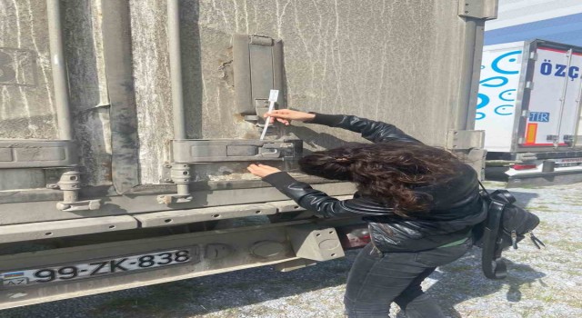 Sökenin balıkları, İtalya yolcusu