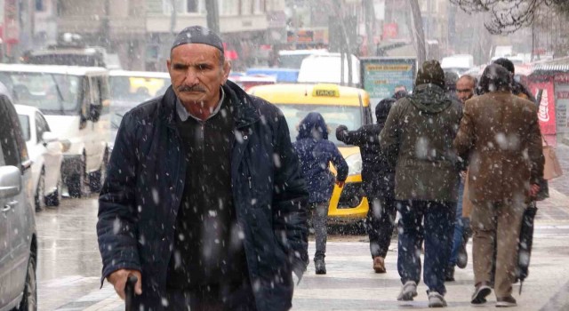 Vanda yoğun kar yağışı