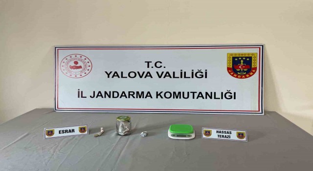 Yalovada uyuşturucu operasyonu: 1 gözaltı