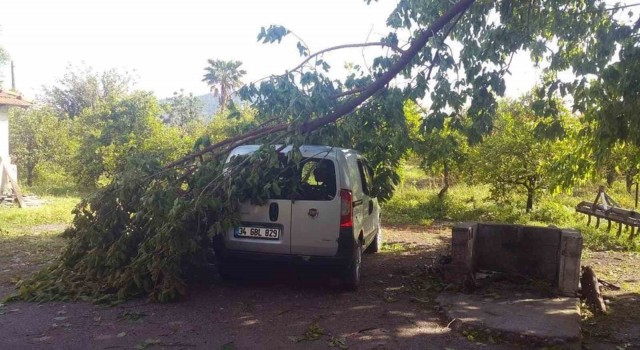 45 dakika yağdı, ağaçlar devrildi, çatı uçtu