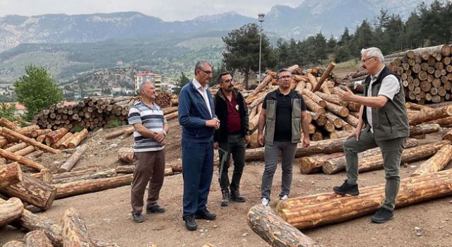 Adana’da Ormancılık Faaliyetleri İncelendi
