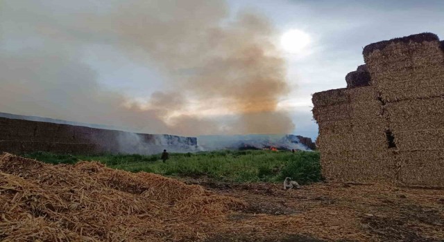 Adanada saman balyalarının bulunduğu alanda yangın çıktı