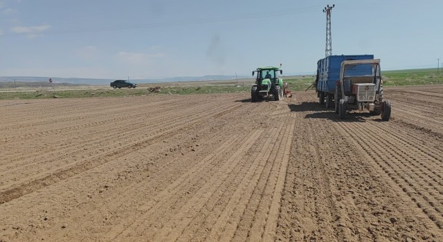 Adilcevazda şeker pancarı ekimine başlandı