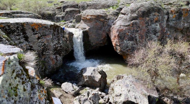 Ağrıda baharla birlikte canlanan doğa göz kamaştırdı