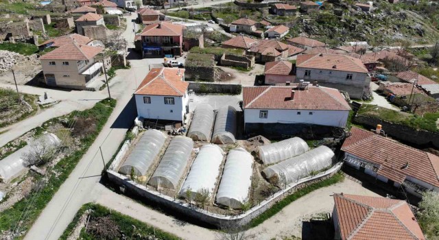 Aksaraydaki küçük Adanada geçim seracılıktan