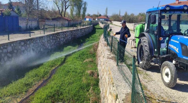Alaca Belediyesinden haşere ile mücadele