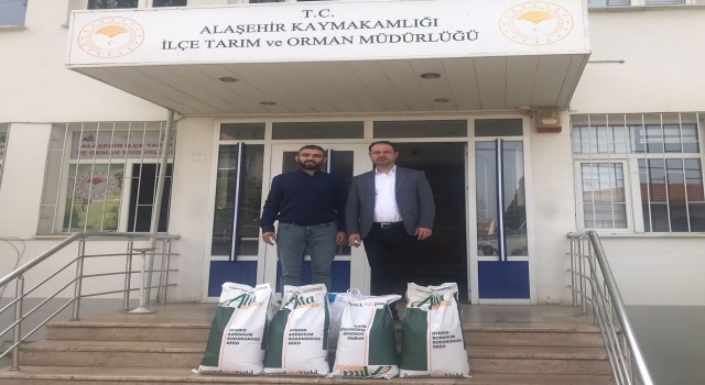 Alaşehirde sorgum otu yetiştirilmeye başlandı