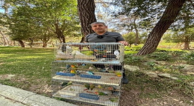 Antalyada papağan operasyonu: 41 papağan ele geçirildi