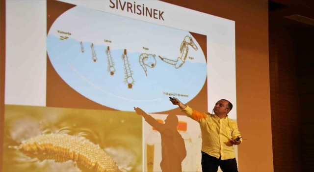 Antalyada sineksiz yaz için ekipler hem sahada hem eğitimde