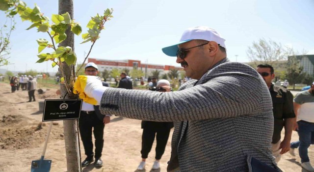 ASÜde 12 dönümlük alana farklı türde 350 adet fidan dikildi