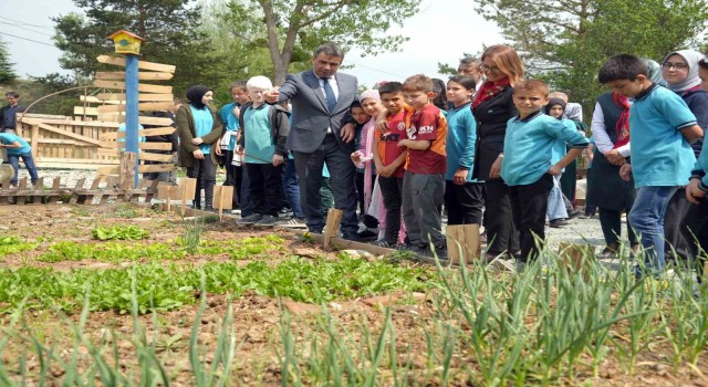 Atıl arazi seraya dönüştürüldü, öğrenciler tarımsal üretime başladı