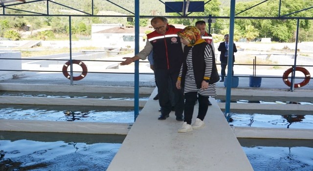 Aydında 2023 yılında balık ihracatından 230 milyon dolar gelir elde edildi