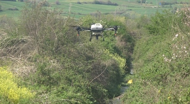 Bafra Ovasında dron destekli sivrisinek mücadelesi