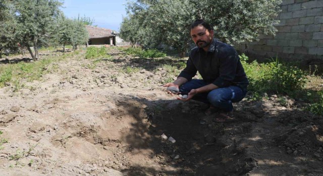 Bahçesini çapalayan çiftçinin pulluğuna takılan küpten Bizans dönemi sikkeleri çıktı