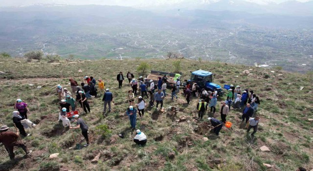 Başkan Yalçın: Bu ağaçlar hepimizin sadakası