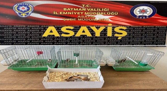Batmanda satışı yasak hayvanları pazarlayan şahsa 19 bin 200 lira ceza