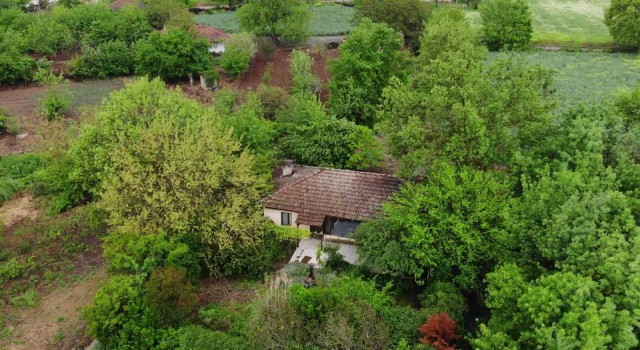 Berzeg Sendromu mahalleyi boşalttı