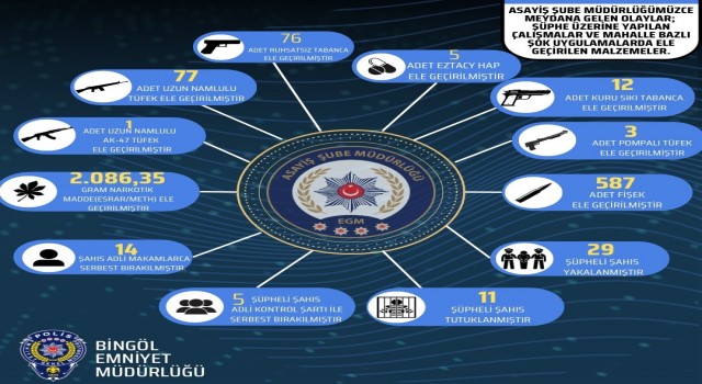 Bingölde şok uygulamalarda çok sayıda silah ele geçirildi