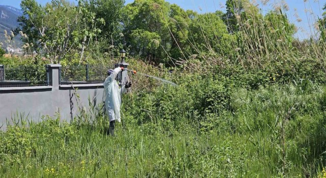 Büyükşehir ekipleri, sineksiz bir yaz için aralıksız çalışıyor