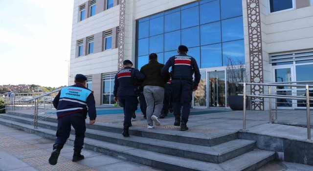 Çanakkalede öldürüldü, Bursadaki kimsesizler mezarlığından çıktı