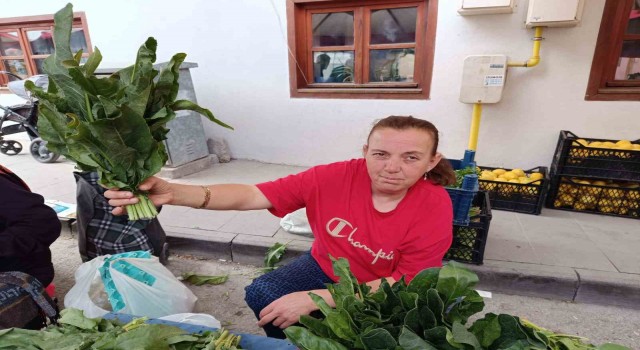 Dere kenarlarında ve sulak çayırlarda topladığı Labada bitkisini pazarda satıyor