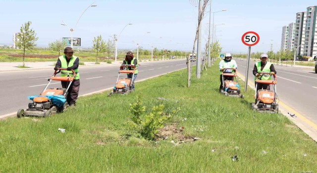 Diyarbakırda günlük 150 bin metrekarelik yeşil alanda çalışma yürütülüyor