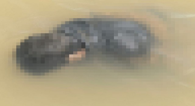 Diyarbakırda kaybolan gencin cesedi bulundu