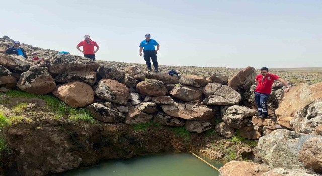 Diyarbakırda kayıp çobanı arama çalışmaları devam ediyor