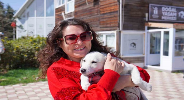 Dört Can daha sıcak yuvasına kavuştu
