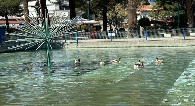 Edremitin ördekli parkı geri geldi