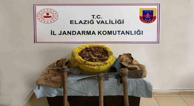 Elazığda 30 kilogram salep bitkisi ele geçirildi