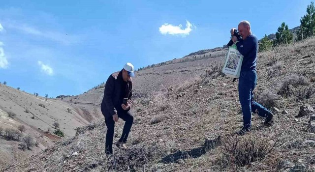 Elazığda Baskil ters lalesi izleme çalışması yapıldı