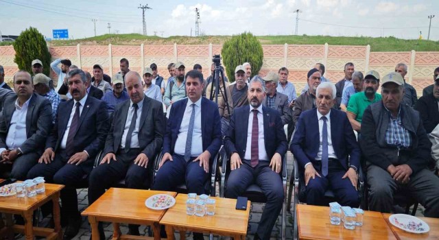 Elazığda Trabzon hurması fidan dağıtımı gerçekleşti