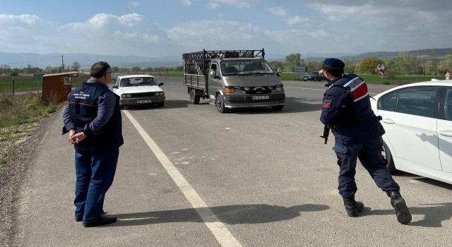 Emette hayvan hareketleri yol kontrolleri