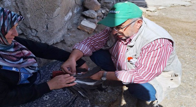 Emette kanatlı hayvanlardan kan ve swap numuneleri alındı